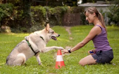 Het nieuwe kindje op de speelplaats: Do as i do