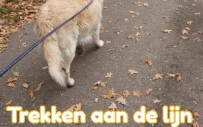 “Trekken aan de lijn”, zo raak je er vanaf