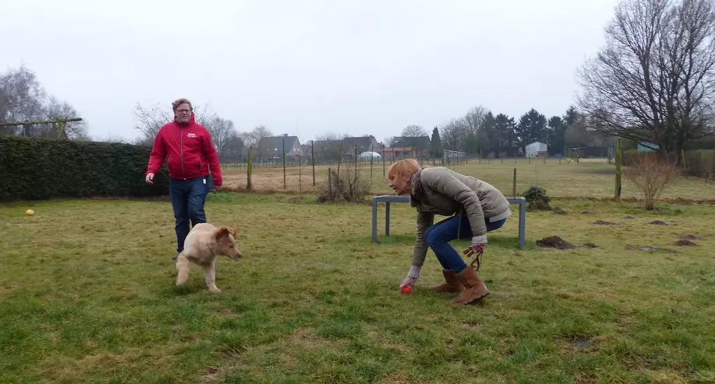 Spel na training - Kwispeltherapie